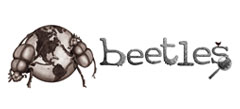 BEETLES